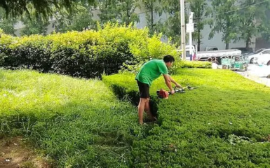 廣州綠化工證怎么報(bào)名